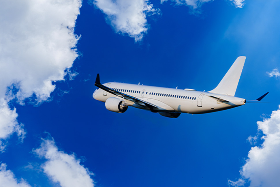 Clearing the Air The Legal Fight Over Absence Points at American